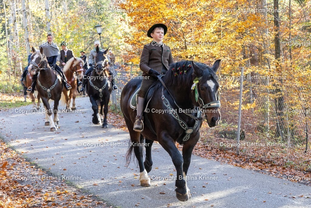 LL24-338 | foto-bettina-krinner - Realisiert mit Pictrs.com