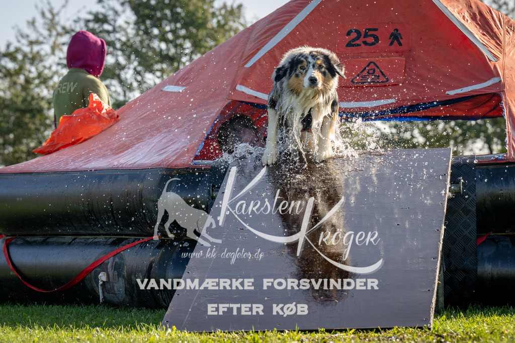 1057-91712 | kk-dogfotos