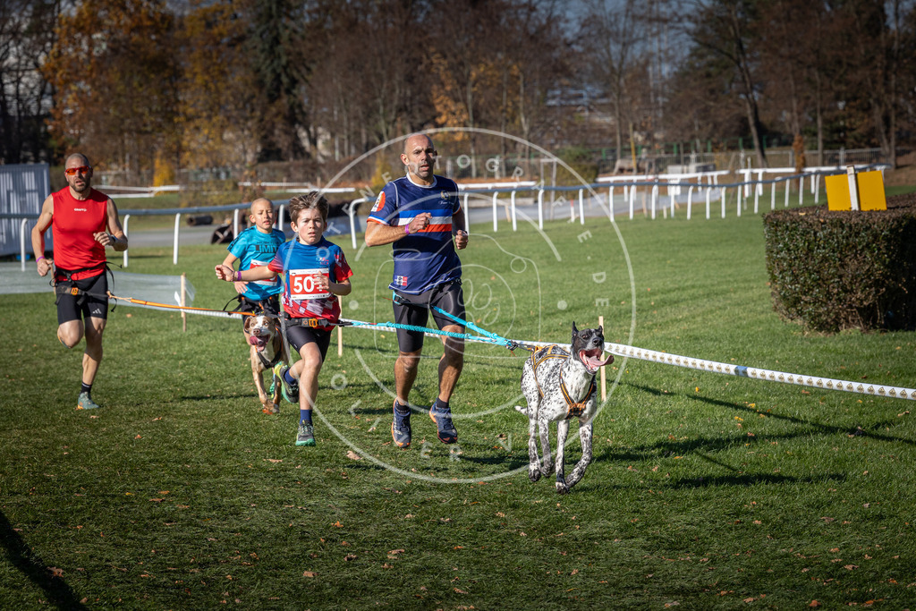 CaniXpix_0L8A6556 | Hundefotografie, Tierfotograf, Pfotenfotografie, Fotoshooting Hund, Hunde Portrait, Hundesport, Hundeportraits, Heideshooting, Hunde, Sportfotograf, Hundefotograf, Turnierhundsport, THS,  - Realisiert mit Pictrs.com
