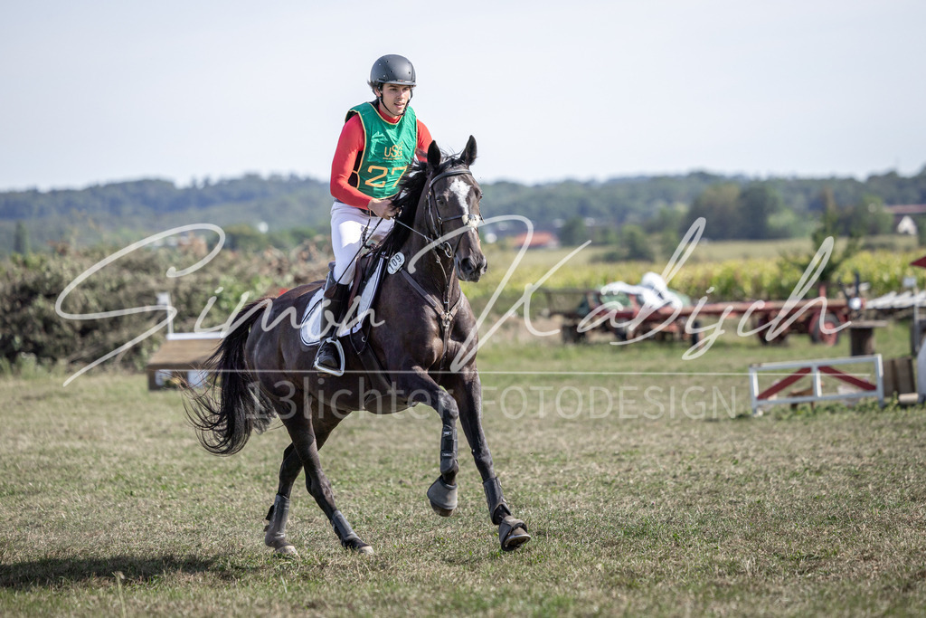 20250907-_3LI2752 | Tierfotografie Pferde, Hunde, Katzen, Haustiere.
Turnierfotografie Reitturniere, Reiten, Springreiten, Dressur in Hanau, dem Main-Kinzig-Kreis und dem Rhein-Main- Gebiet um Frankfurt