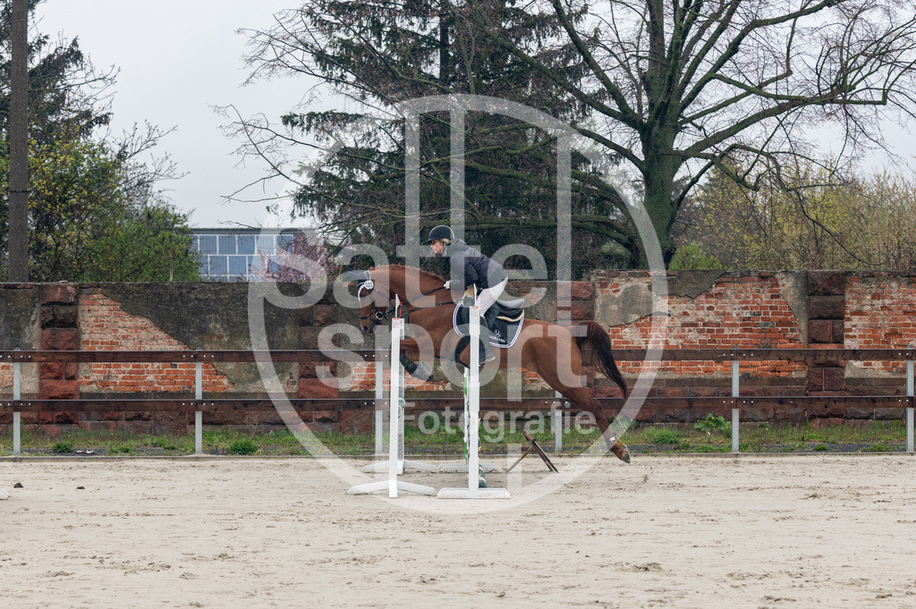 DSC_8244 | sattelsport - Realisiert mit Pictrs.com