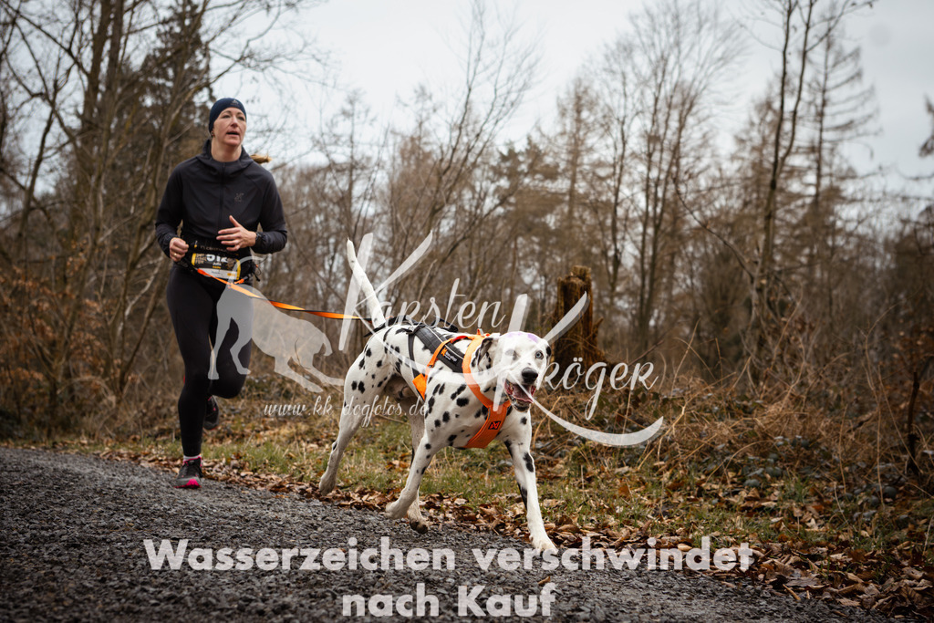 1052_ZZ97696 | kk-dogfotos