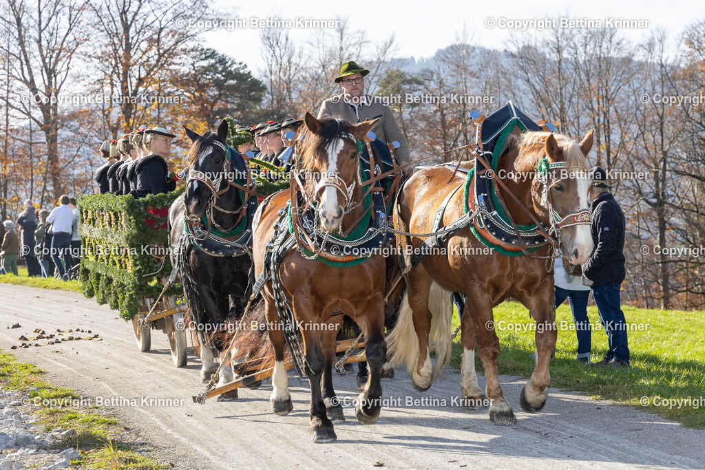 LBT24-1306 | foto-bettina-krinner - Realisiert mit Pictrs.com