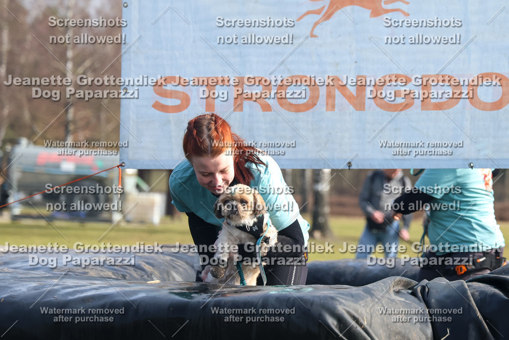 Dog Paparazzi - Strongdog North Mrz26-1561 | Dog Paparazzi Jeanette Grottendiek Fotografie & Videografie - Realisiert mit Pictrs.com