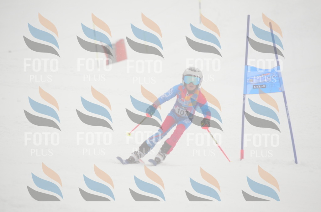 C1439 | holidayphoto