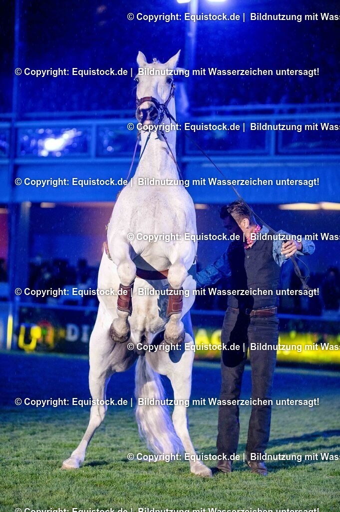 20250606_Lange-Pferdenacht_1124 | Foto: Thomas Hartig