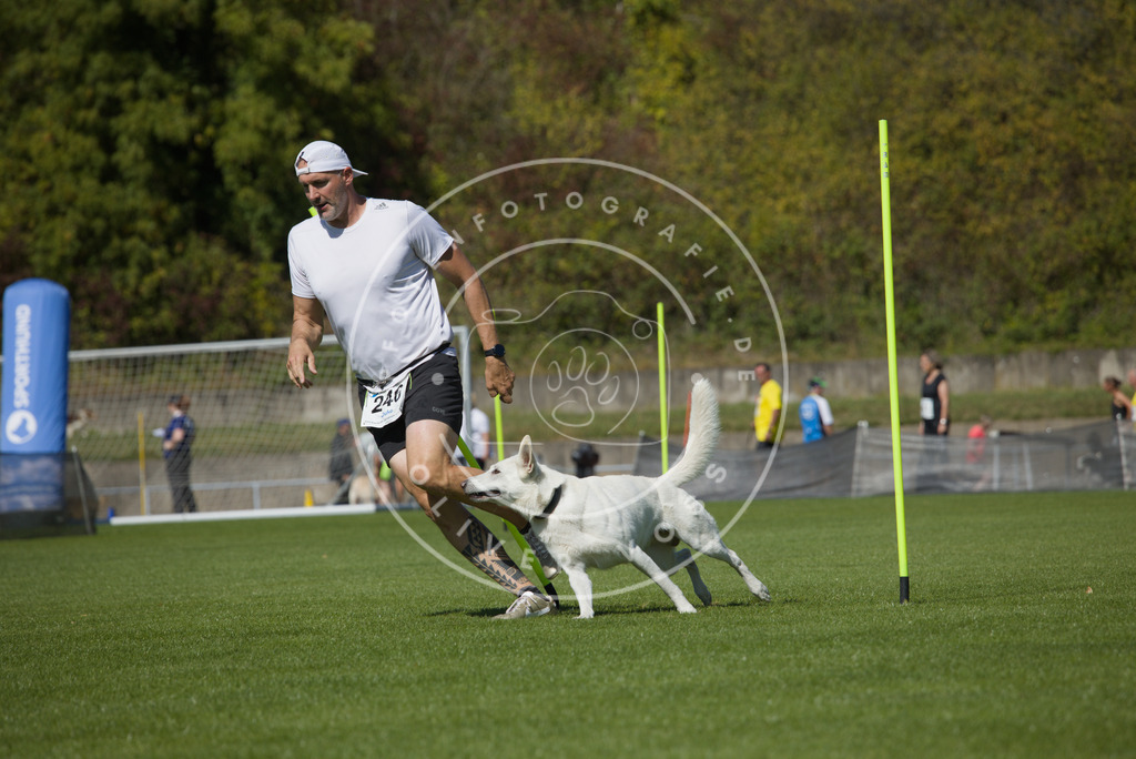 0L8A6230 | Hundefotografie, Tierfotograf, Pfotenfotografie, Fotoshooting Hund, Hunde Portrait, Hundesport, Hundeportraits, Heideshooting, Hunde, Sportfotograf, Hundefotograf, Turnierhundsport, THS,  - Realisiert mit Pictrs.com
