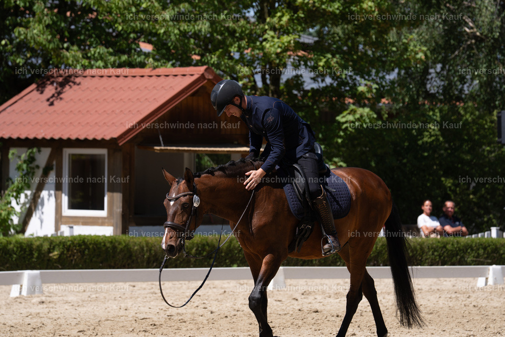 WS_DR_38_sinafilmart_IN03087 | working equitationturnier fotograf videograf stoibphotography marixx film working equitation deutschland reitsport turnierfotografie eventfotografie equestrian events