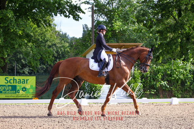 DKP41594 | Deine Turnierfotos vom Reitturnier online kaufen: Dressur, Springen & Siegerehrung. Professionelle Pferdefotografie aus dem Rheinland – als Download & Print.Alternative: Turnierfotograf für den Pferdesport: Finde deine Fotos von Dressur- und Springturnier