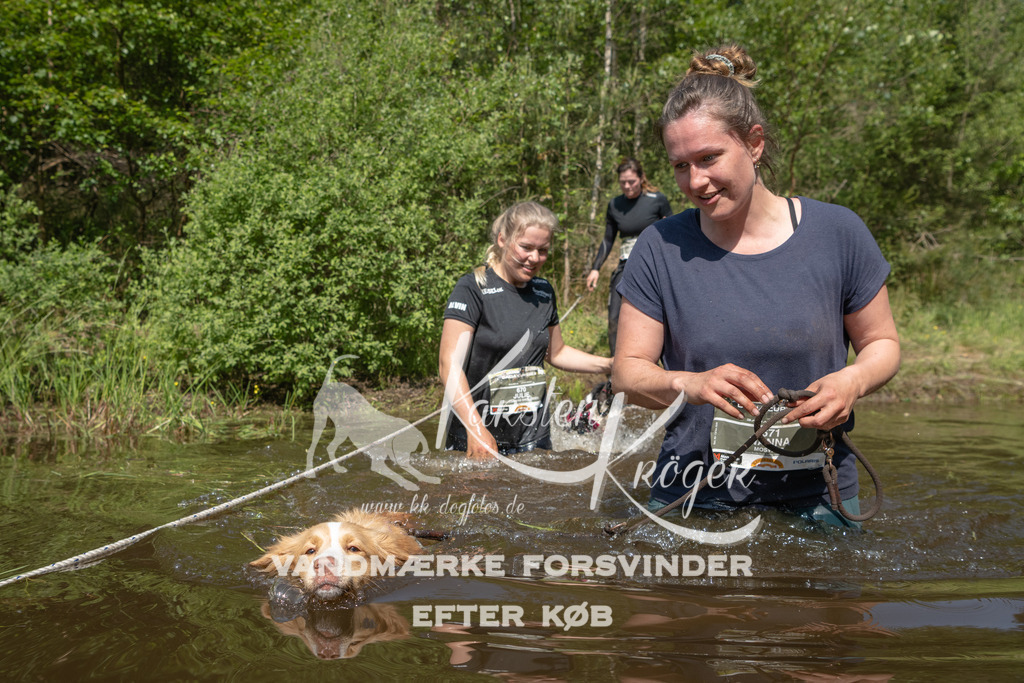 1046DKK991403 | kk-dogfotos