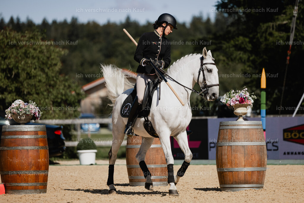 Virginie12FHC2025-27276 | working equitationturnier fotograf videograf stoibphotography marixx film working equitation deutschland reitsport turnierfotografie eventfotografie equestrian events