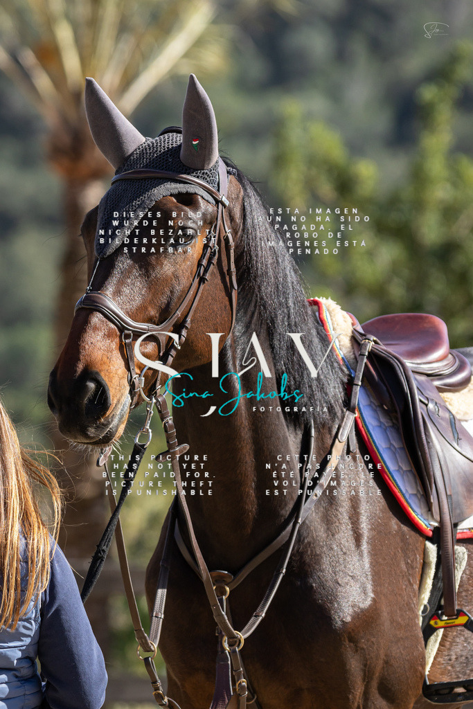 IMG_6424 | s-jay-photography - Realisiert mit Pictrs.com