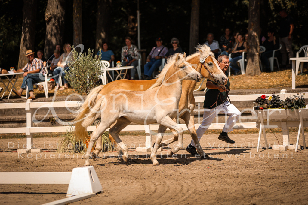 06.DoH00045 | Leoni Ertmer Photography - Realisiert mit Pictrs.com