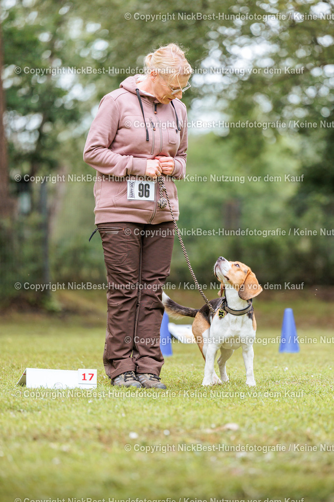 RO-Blumenthal-2026-Nickbest-Hundefotografie-4901 | Dein Hund! Dein Moment! Deine Erinnerungen! Hundefotografie in Bremen Blumenthal. Ich fange die besonderen Momente deines Vierbeiners ein – ob Indoor mit Blitzanlage oder in der freien Natur. Sicher dir dein Moment und dein Termin für eure Erinnerungen.