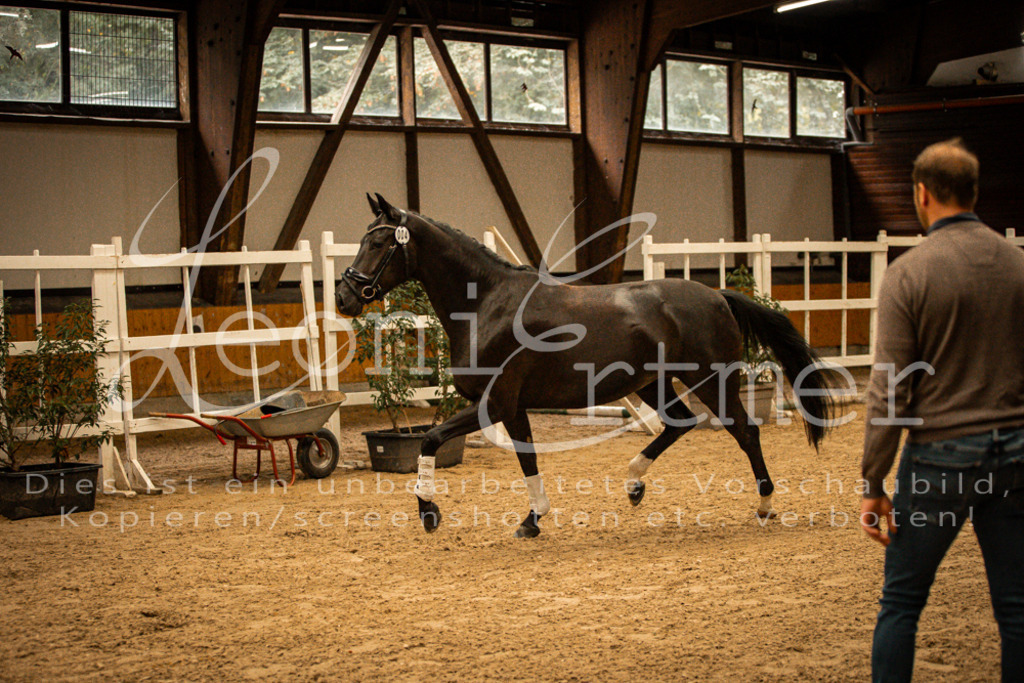 1FS_L00092 | Leoni Ertmer Photography - Realisiert mit Pictrs.com