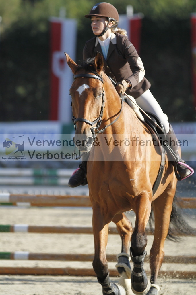 _MG_1135 | equestrian-live-com