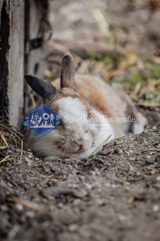 IMG_2795 | SportEventFotografie - Roman Stoiber