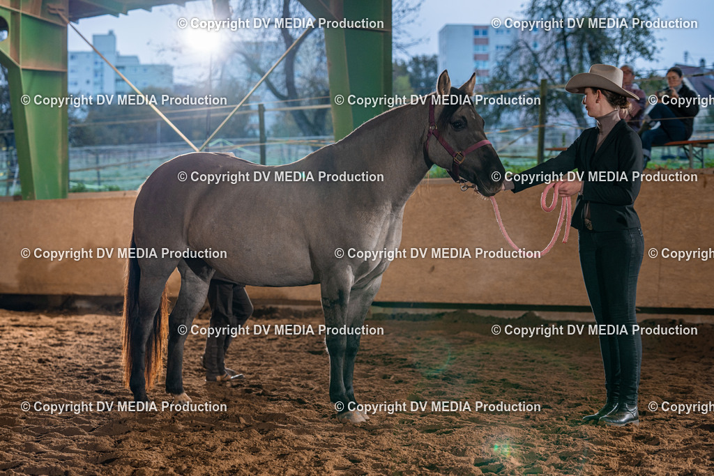 Balingen Tag 1-26 | dv-media-shop - Realisiert mit Pictrs.com