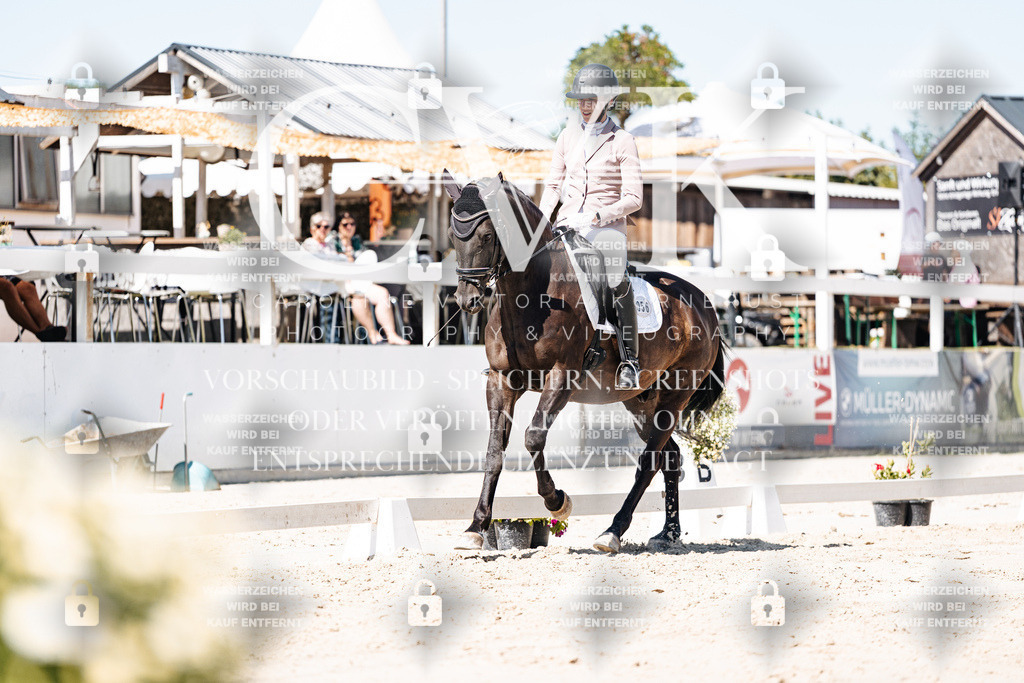 CK909412 | Turnierfotografie Pferdefotografie Trier Rheinland-Pfalz Pferdesport Reitsport Tierfotografie Sportfotografie Pferdevideo Pferdevideografie Equestrianvideography equestrianphotography  - Realisiert mit Pictrs.com