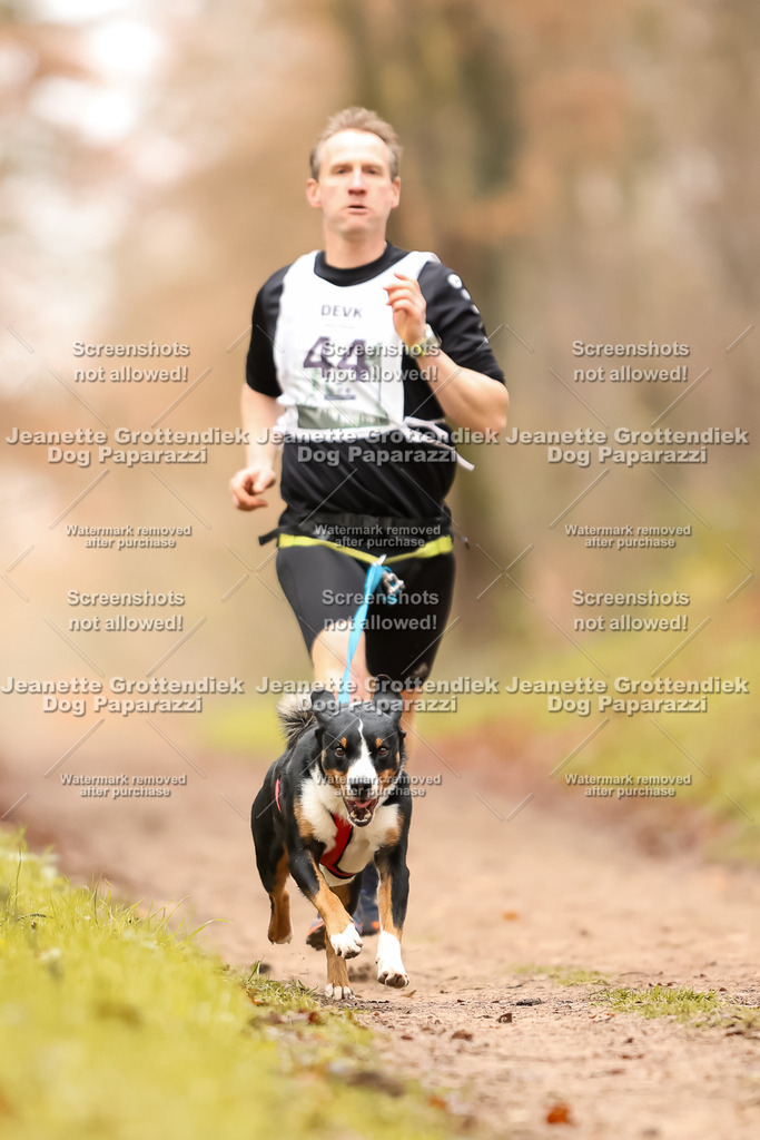 Dog Paparazzi - Speedhunter Mannheim  2025-114 | Dog Paparazzi Jeanette Grottendiek Fotografie & Videografie