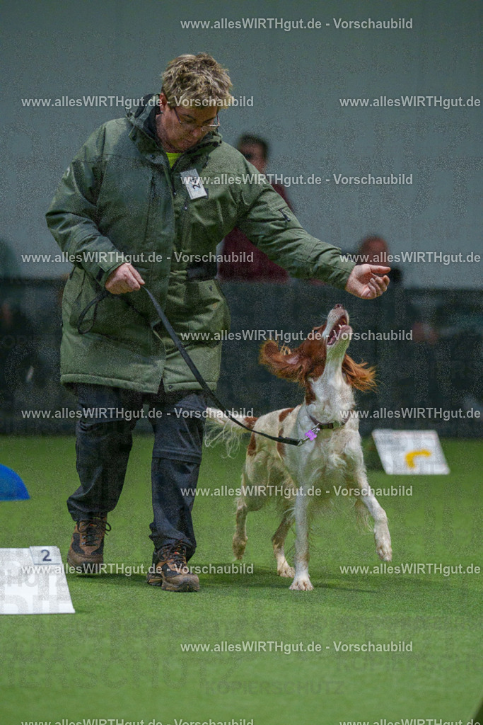 7R500124 | Professionelle Tierfotografie in Mönchengladbach von Daniel Wirth (allesWIRTHgut). Liebevolle & natürliche Bilder von Hunden & Katzen für unvergessliche Erinnerungen.