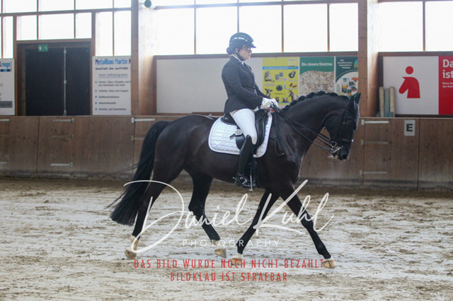 DKP44644 | Turniersportfotografie; Pferdefotografie; Dressurfotografie