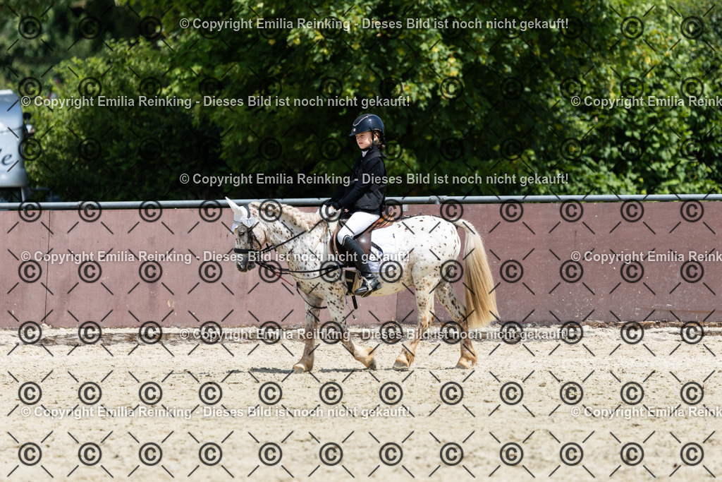 CL5A3638 | Emilia Reinking Fotografie - Realisiert mit Pictrs.com