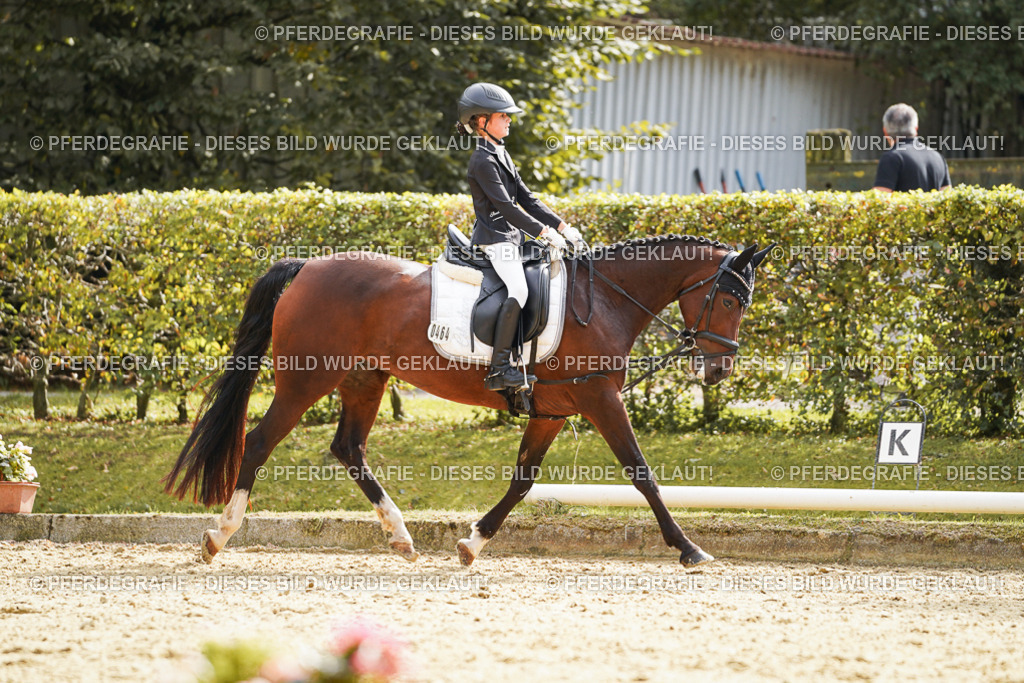 DSC01327 | Pferdegrafie