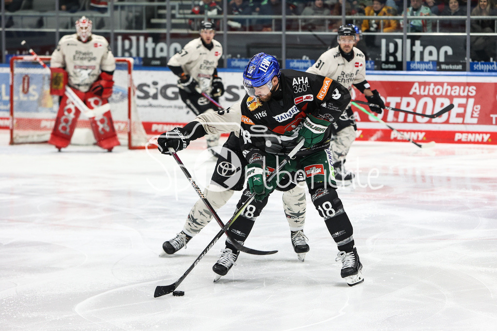 Augsburger Panther - Kölner Haie  | Zachery MITCHELL (AEV #18) im Duell mit einem Koelner / Zweikampf