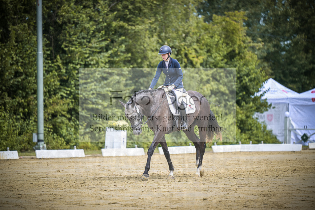 DOS_2306 | Entdecke hochwertige Reitturnierfotos von Foto Oger. Professionell, emotional und authentisch – jetzt Lieblingsmomente im Shop bestellen.Deutschlandweite Turnierfotografie. - Realisiert mit Pictrs.com