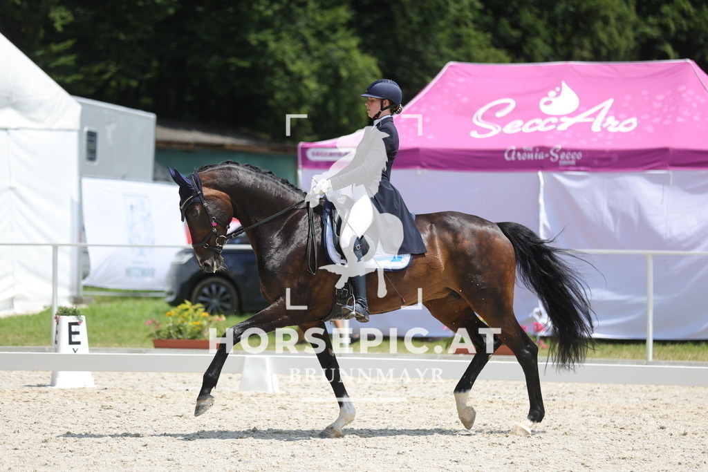 0P6A0469 | Willkommen bei Brunnmayr - Design & Fotografie – Ihrem Spezialisten für Reitturniere und Pferdeveranstaltungen in Oberösterreich, Salzburg und Bayern! Seit über 17 Jahren sind wir leidenschaftlich dabei.
