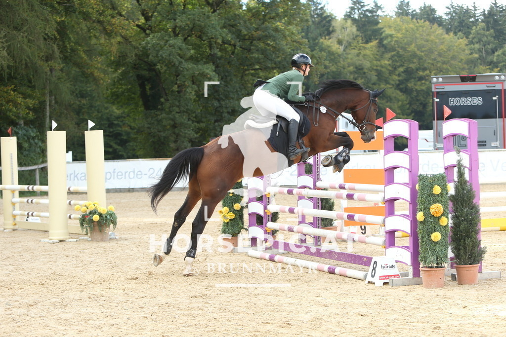 DL2Q6667 | Willkommen bei Brunnmayr - Design & Fotografie – Ihrem Spezialisten für Reitturniere und Pferdeveranstaltungen in Oberösterreich, Salzburg und Bayern! Seit über 17 Jahren sind wir leidenschaftlich dabei.