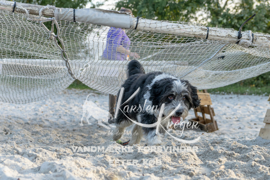 1642_ZZ98626 | kk-dogfotos