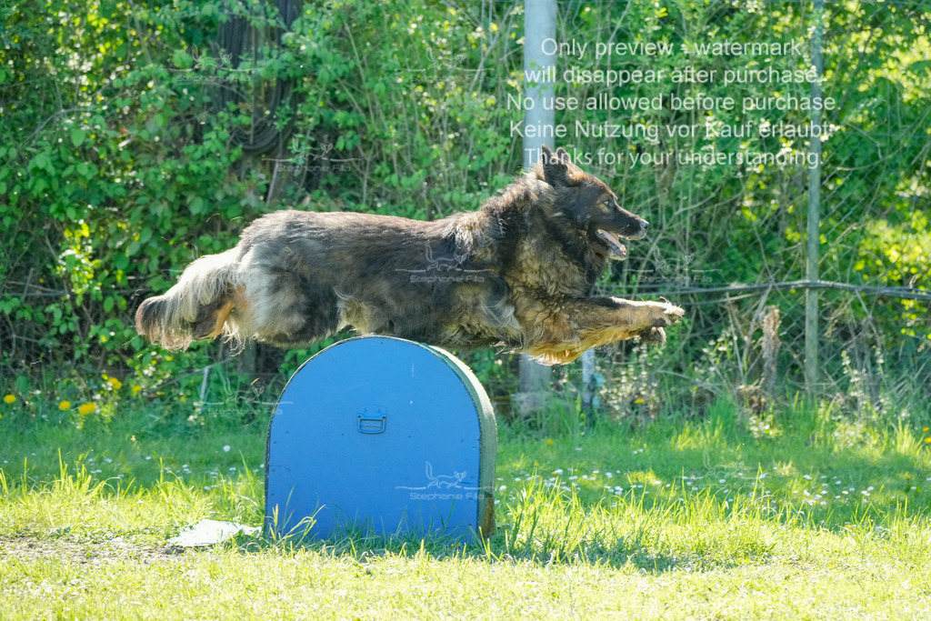 Sa_VK3_03-46 | stephaniefillaphotographie - Realisiert mit Pictrs.com