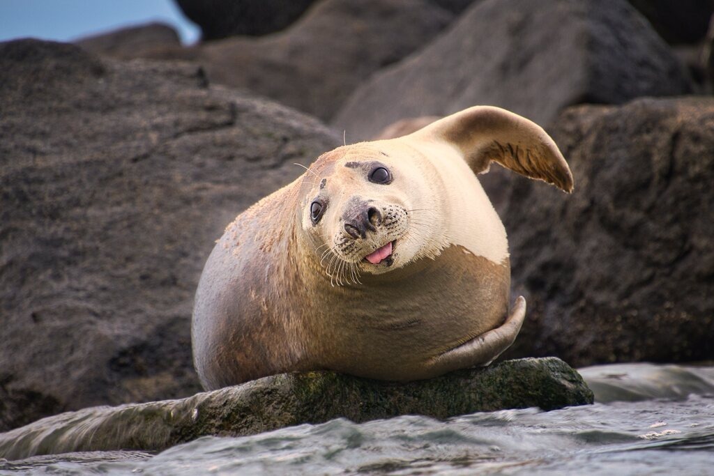 ZFC_7480 | Unvergessliche Erinnerungen in Bildern festgehalten! Ob Hochzeit, Shooting oder Landschaft  - Ich bin dein Fotograf in Erfurt und Umgebung! Photo-Rauch | Sandro Rauch - Realisiert mit Pictrs.com