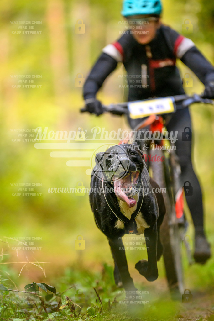 MompixPhotography_Yens2025_B2-24 | PayLife