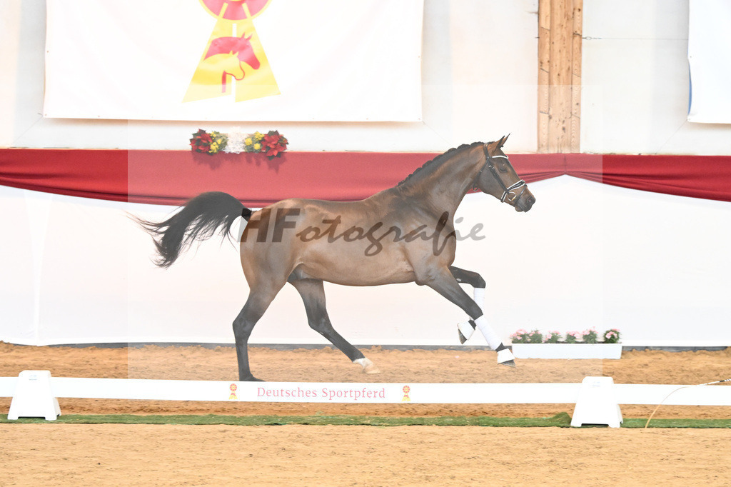Kat-Nr. 55 Va Bene x Goldberg_Kuntz_43230566 | hf-fotografie - Realisiert mit Pictrs.com