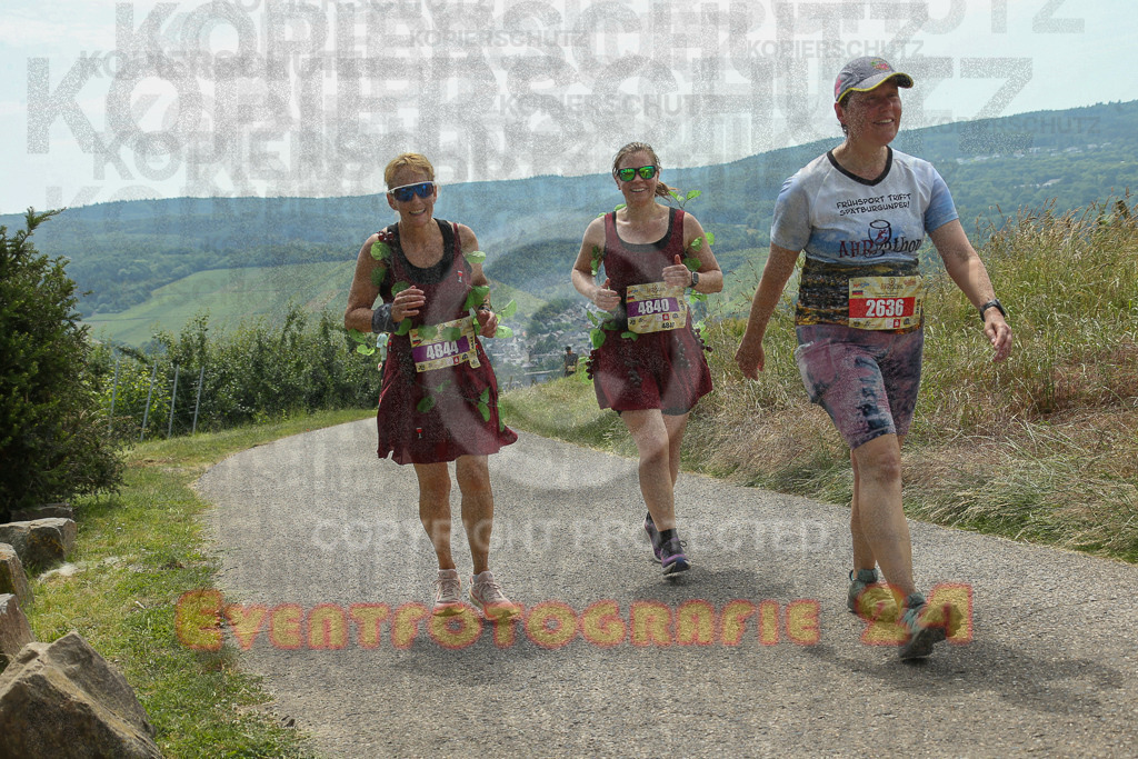 250614_1244_EX1_7798 | Sportfotografie im Rhein-Sieg Kreis, Köln, Bonn, NRW, Rheinland Pfalz, Hessen, etc. Unser Tätigkeitsfeld umfasst den Laufsport vom Volkslauf über den Marathon, Duathlon, Triathon bis zum Ultralauf wie Kölnpfad Ultra oder Schindertrail.