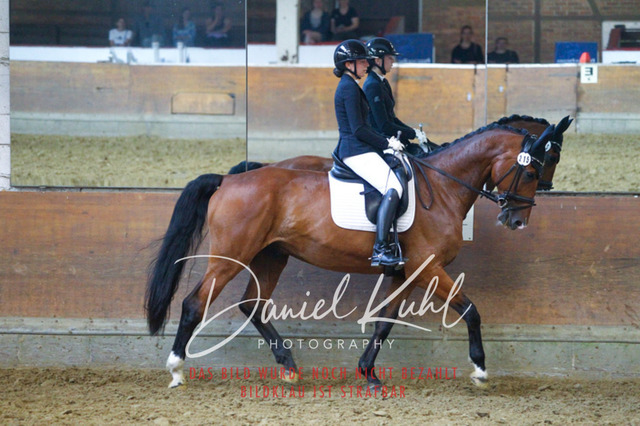 DKP43612 | Turniersportfotografie; Pferdefotografie; Dressurfotografie