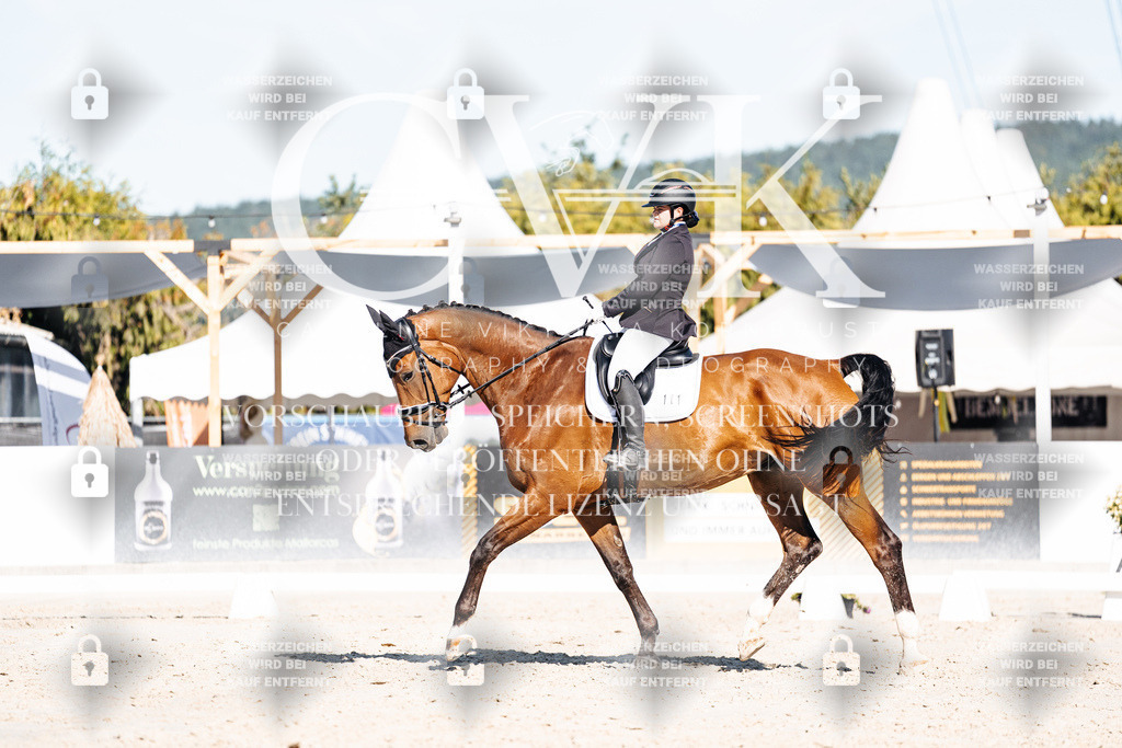 CK907661 | Turnierfotografie Pferdefotografie Trier Rheinland-Pfalz Pferdesport Reitsport Tierfotografie Sportfotografie Pferdevideo Pferdevideografie Equestrianvideography equestrianphotography  - Realisiert mit Pictrs.com