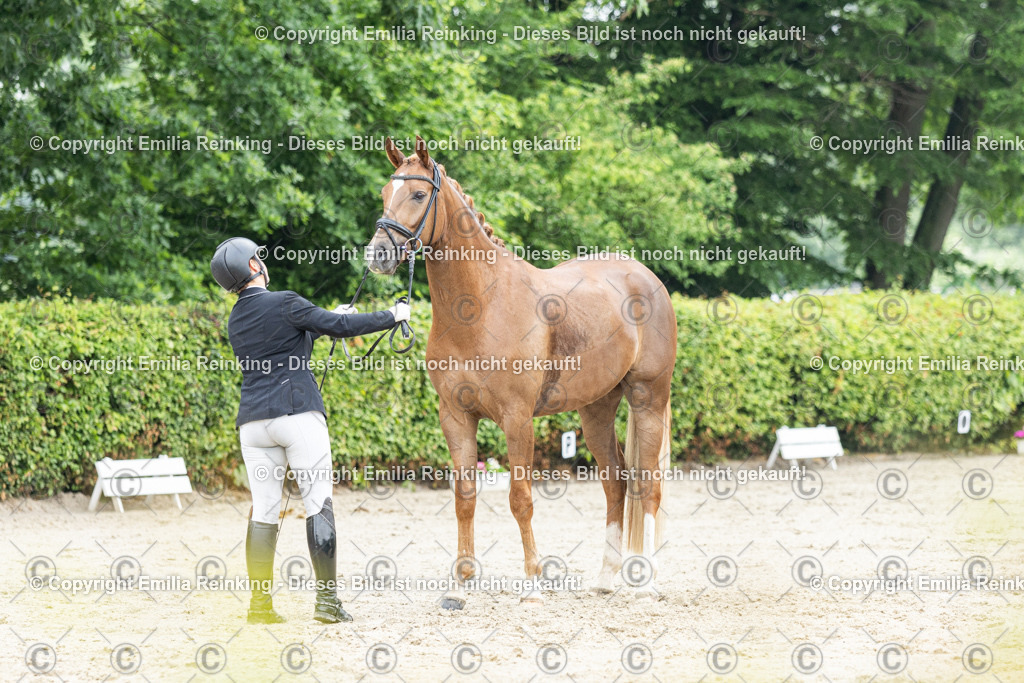 CL5A3119 | Emilia Reinking Fotografie - Realisiert mit Pictrs.com