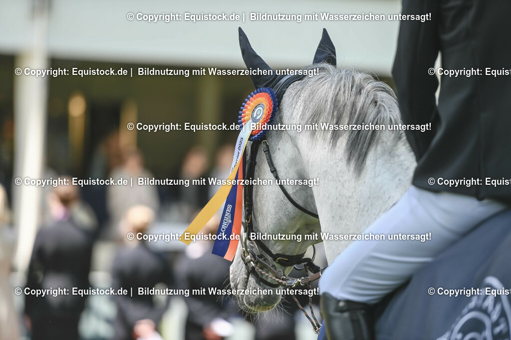 20230527_12_CSI4_Pfungstädter_0127 | equistock