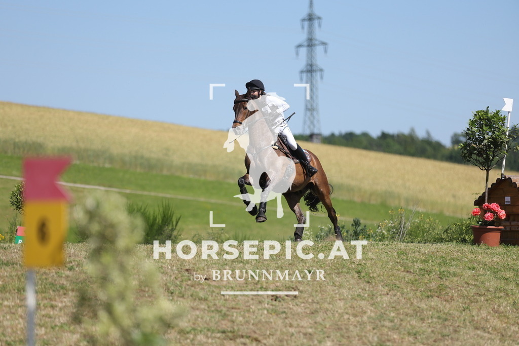 0P6A5764 | Willkommen bei Brunnmayr - Design & Fotografie – Ihrem Spezialisten für Reitturniere und Pferdeveranstaltungen in Oberösterreich, Salzburg und Bayern! Seit über 17 Jahren sind wir leidenschaftlich dabei.