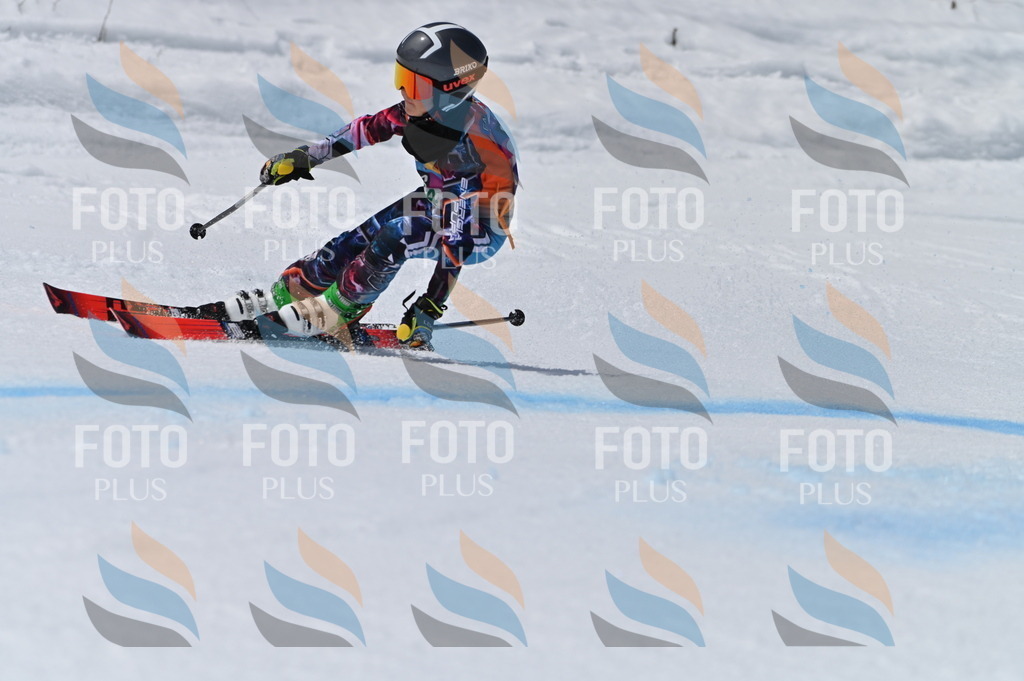 BGV_7200 | holidayphoto