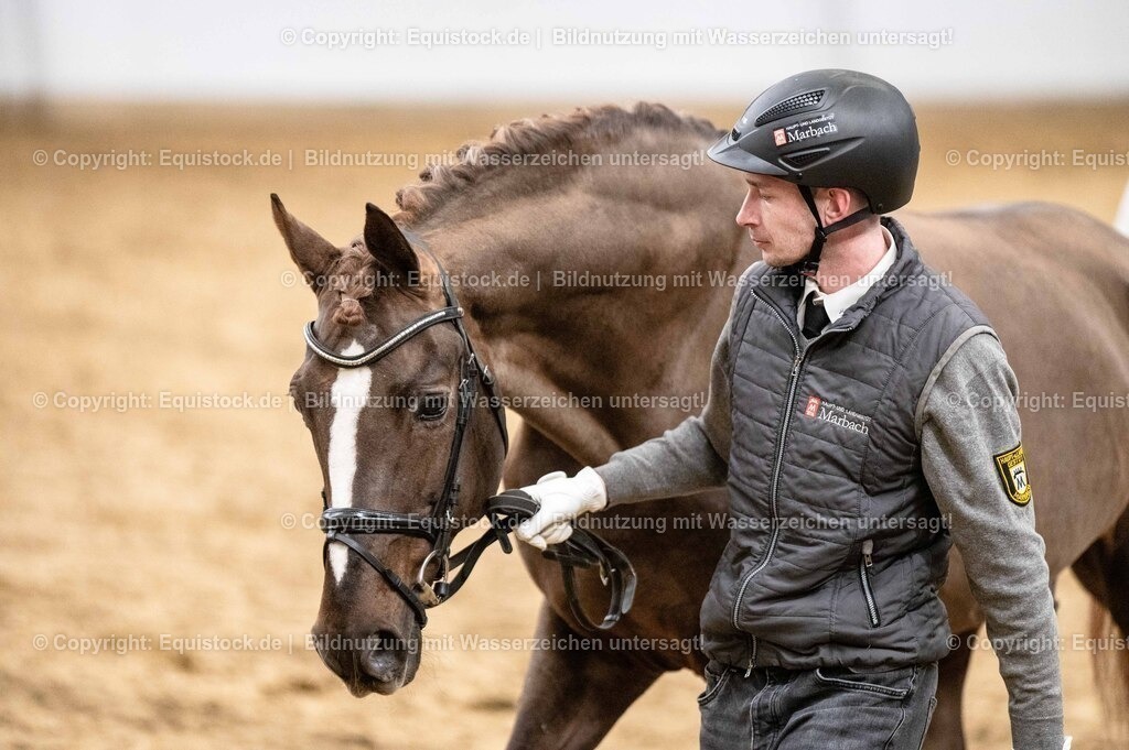 20260307_Hengstvorstellung-Marbach_0550 | equistock
