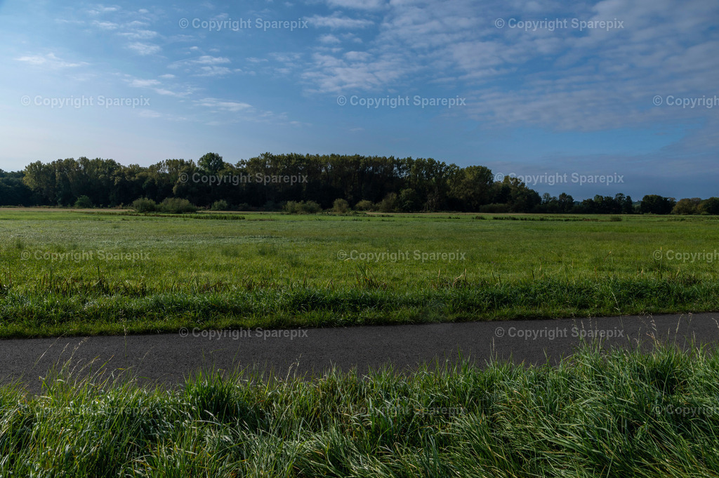 LOC_Trail_Summer_Meadow7 | sparepix - Realisiert mit Pictrs.com