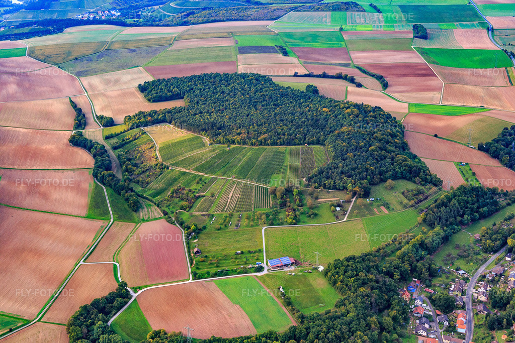 Luftbild: Weinberg an der bayerischen Grenze im Ortsteil Dertingen in Wertheim im Bundesland Baden-Württemberg in Deutschland. Foto: IMG_073651.jpg vom 26.09.2014 durch Werner Riehm/FLY-FOTO.deAuflösung des Originals: 5472 x 3648 px
