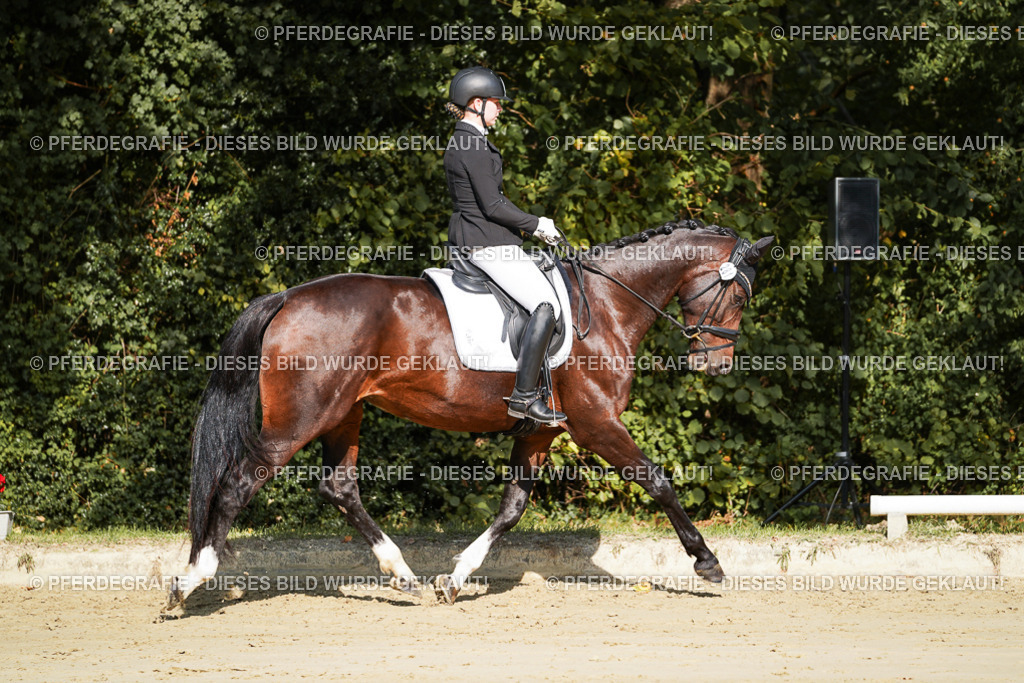 DSC07973 | Pferdegrafie