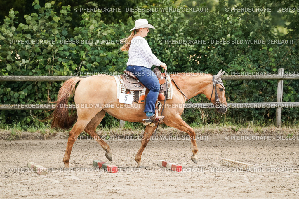 DSC07841 | Pferdegrafie