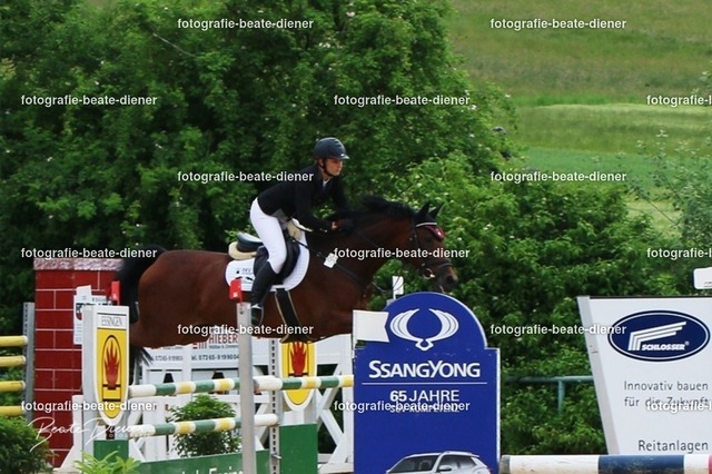 OHT1861 | Fotografie, Tiere, Hunde, Katzen, Pferde, Sportfotografie, Fotosession, Tierfotografie, Turnierfotografie, Fotografin, Fotograf - Realisiert mit Pictrs.com